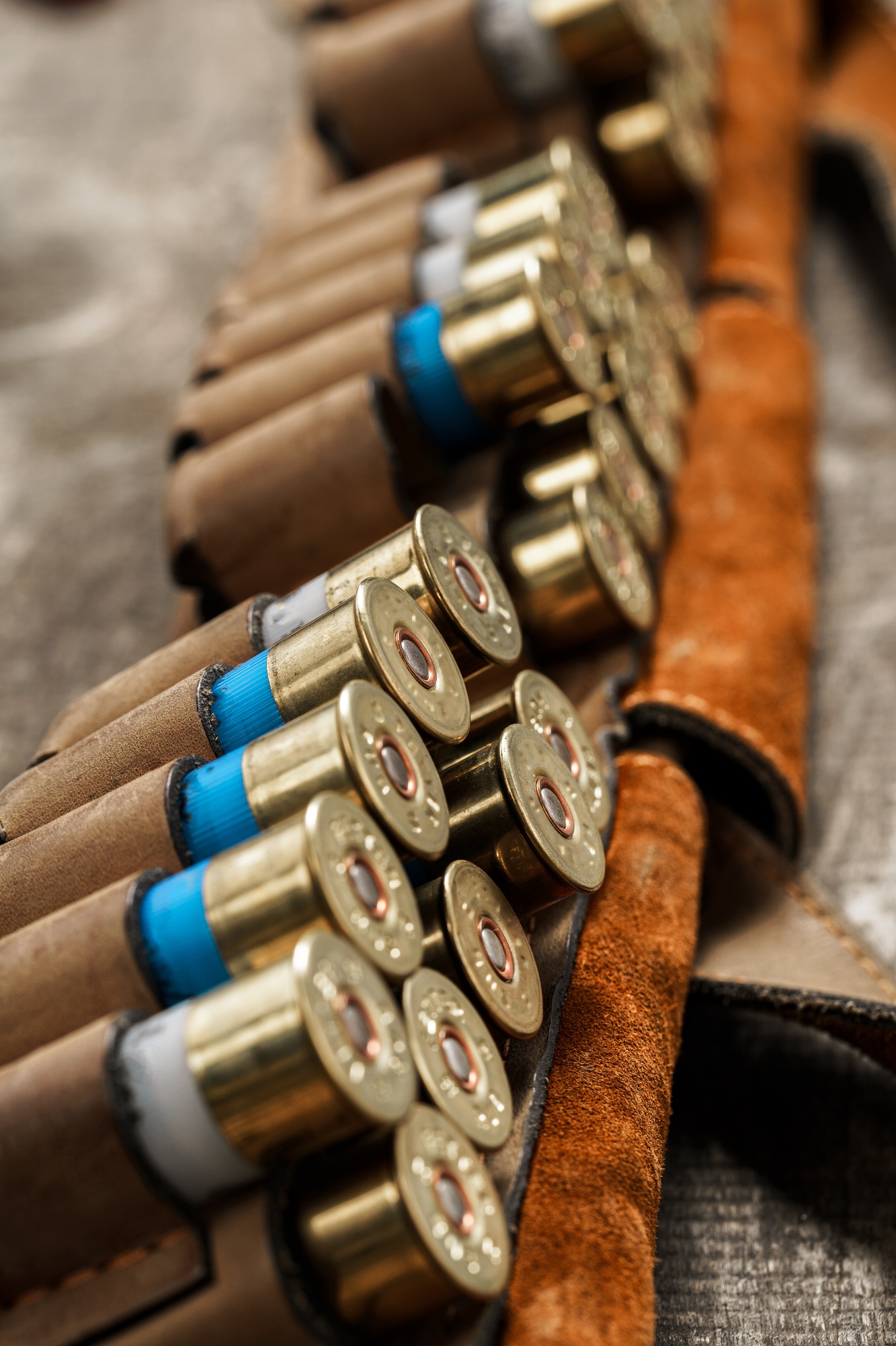 Set of cartridges for a hunting shotgun